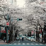 third blog