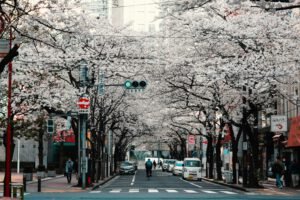 third blog