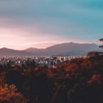 Fourth blog